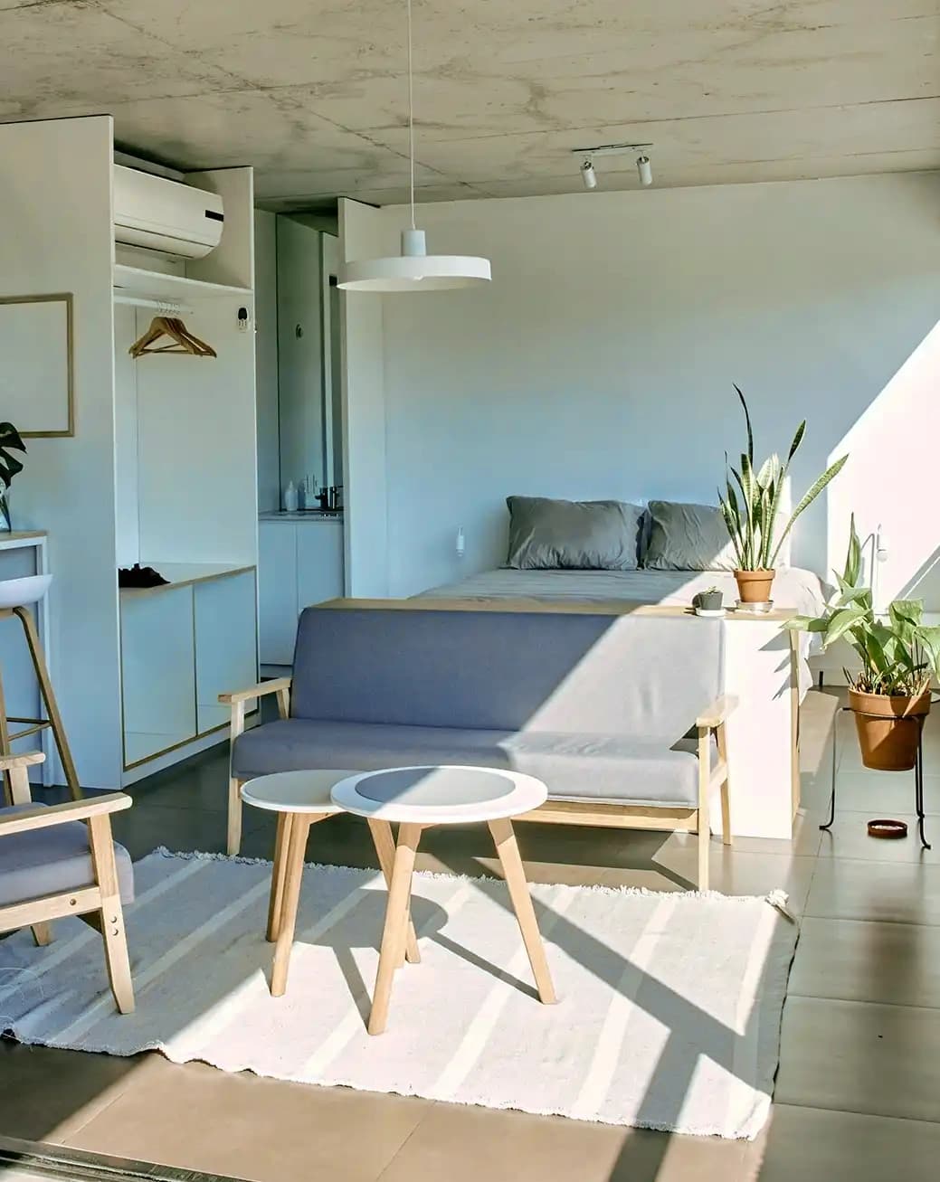 A well-lit studio apartment with a cozy setup including a sofa, round tables, a carpet, a neatly made bed, and several plants.