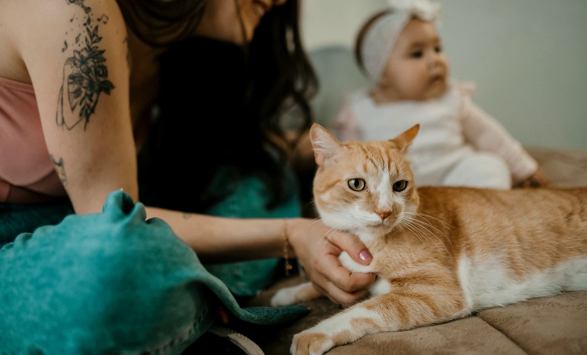 A close-up of a white and orange cat with yellow eyes, as a woman in teal jeans pets it with her tattooed right hand; in the blurred background, a baby with a hairband, white overalls, and a pink long-sleeve shirt is visible.